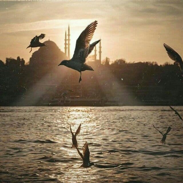 ИЛМИ СЕНДАН ТЎСИБ ҚЎЙИЛГАН НАРСАЛАРНИ БИЛИШГА УРИНМА